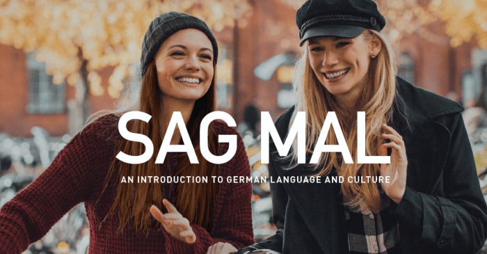 Sag mal 3rd edition pdf