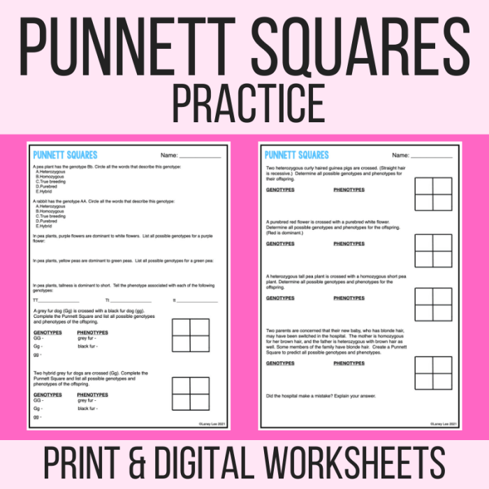 Punnett square quiz answer key