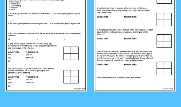 Punnett square quiz answer key