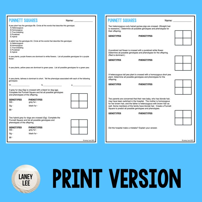 Punnett square quiz answer key